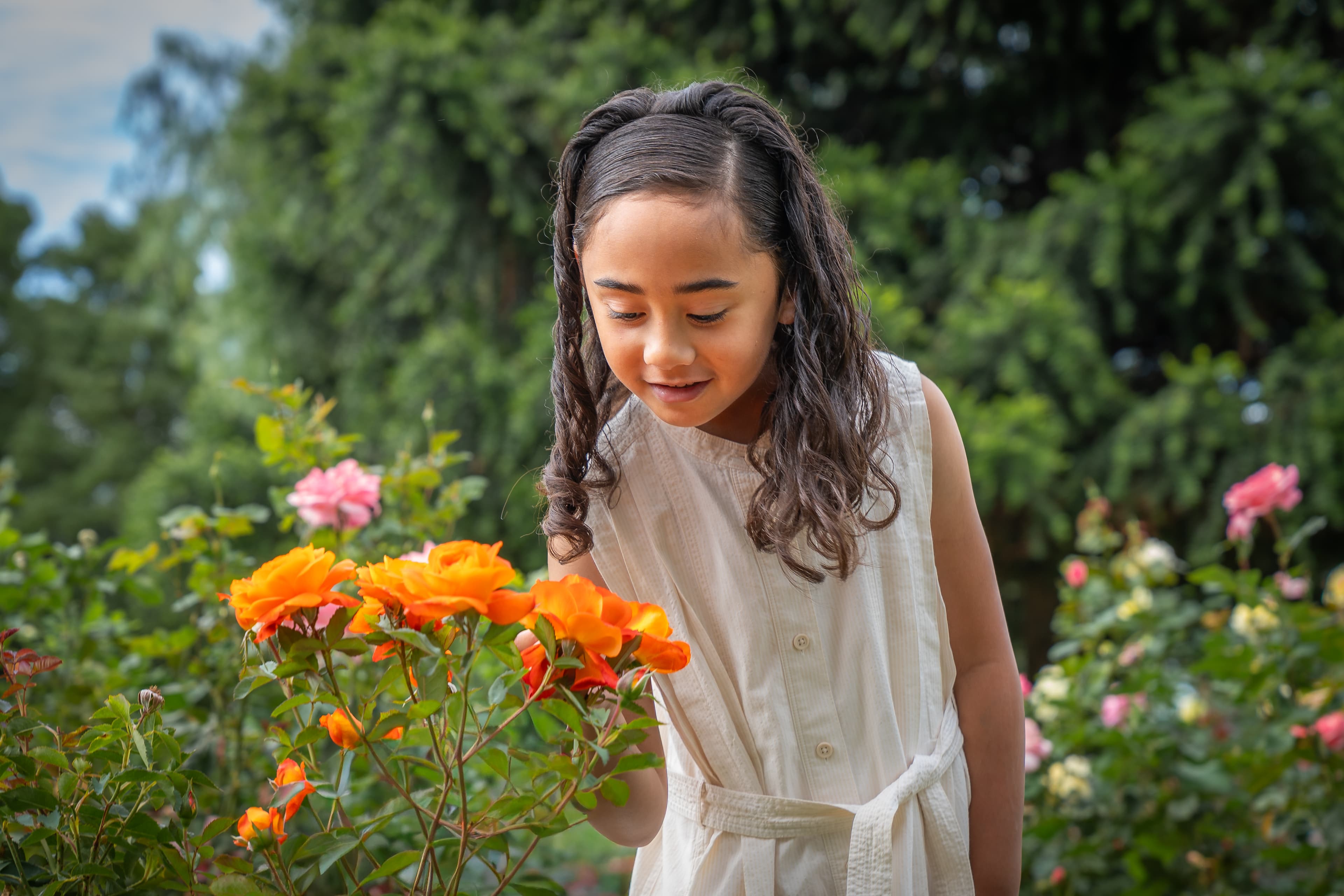 Young girl in a white dress admires bright orange roses in a lush green garden.
